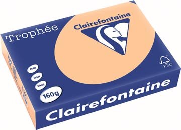 Clairefontaine Troph&eacute;e Pastel, gekleurd papier, A4, 160 g, 250 vel, abrikoos