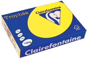 Clairefontaine Troph&eacute;e Intens, gekleurd papier, A4, 160 g, 250 vel, zonnegeel