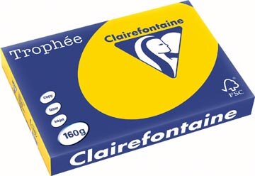 Clairefontaine Troph&eacute;e Pastel, gekleurd papier, A3, 160 g, 250 vel, goudgeel
