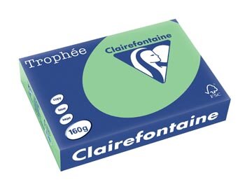 Clairefontaine Troph&eacute;e Pastel, gekleurd papier, A4, 160 g, 250 vel, natuurgroen