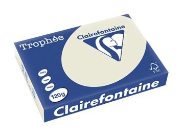 Clairefontaine Troph&eacute;e Pastel, gekleurd papier, A4, 120 g, 250 vel, parelgrijs