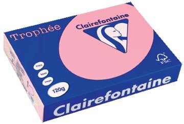 Clairefontaine Troph&eacute;e Pastel, gekleurd papier, A4, 120 g, 250 vel, roze
