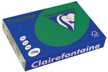 Clairefontaine Troph&eacute;e Intens, gekleurd papier, A4, 120 g, 250 vel, dennengroen