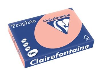 Clairefontaine Troph&eacute;e Pastel, gekleurd papier, A4, 120 g, 250 vel, perzik