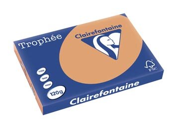 Clairefontaine Troph&eacute;e Pastel, gekleurd papier, A3, 120 g, 250 vel, mokkabruin