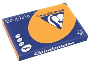 Clairefontaine Troph&eacute;e Pastel, gekleurd papier, A3, 120 g, 250 vel, oranje
