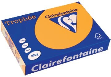 Clairefontaine Troph&eacute;e Pastel, gekleurd papier, A4, 80 g, 500 vel, goudgeel