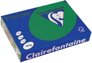 Clairefontaine Troph&eacute;e Intens, gekleurd papier, A4, 80 g, 500 vel, dennegroen