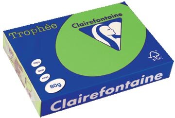 Clairefontaine Troph&eacute;e Intens, gekleurd papier, A4, 80 g, 500 vel, muntgroen