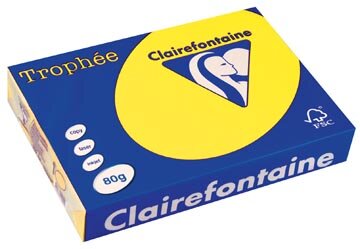 Clairefontaine Troph&eacute;e Intens, gekleurd papier, A4, 80 g, 500 vel, zonnegeel