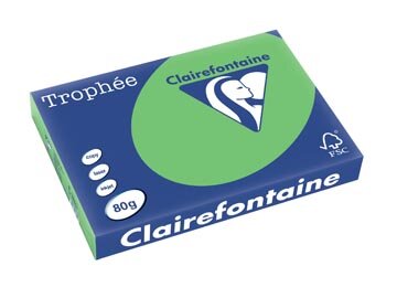 Clairefontaine Troph&eacute;e Intens, gekleurd papier, A3, 80 g, 500 vel, muntgroen