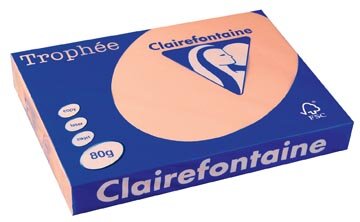 Clairefontaine Troph&eacute;e Pastel, gekleurd papier, A3, 80 g, 500 vel, zalm