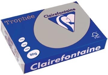 Clairefontaine Troph&eacute;e gekleurd papier, A4, 80 g, 500 vel, lichtgrijs