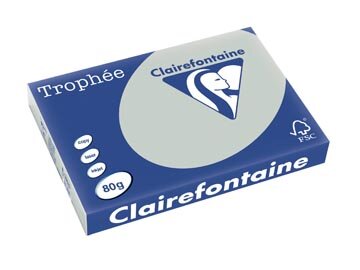 Clairefontaine Troph&eacute;e Pastel, gekleurd papier, A3, 80 g, 500 vel, lichtgrijs