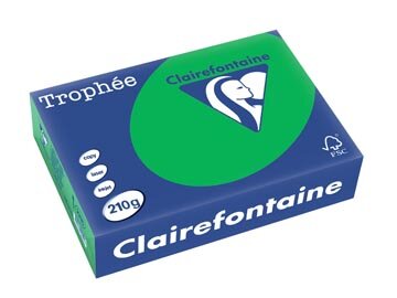 Clairefontaine Troph&eacute;e Intens, gekleurd papier, A4, 210 g, 250 vel, bijartgroen