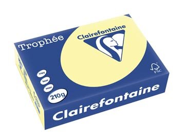 Clairefontaine Troph&eacute;e Pastel, gekleurd papier, A4, 210 g, 250 vel, kanariegeel
