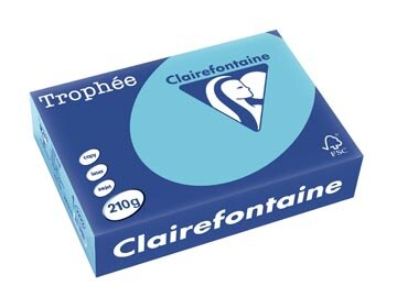 Clairefontaine Troph&eacute;e Pastel, gekleurd papier, A4, 210 g, 250 vel, helblauw