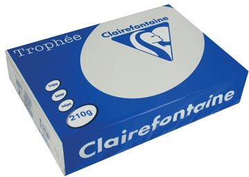 Clairefontaine Troph&eacute;e Pastel, gekleurd papier, A4, 210 g, 250 vel, lichtgrijs