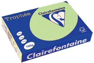 Clairefontaine Troph&eacute;e Pastel, gekleurd papier, A4, 160 g, 250 vel, groen