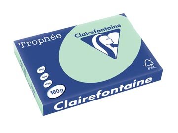 Clairefontaine Troph&eacute;e Pastel, gekleurd papier, A3, 160 g, 250 vel, groen