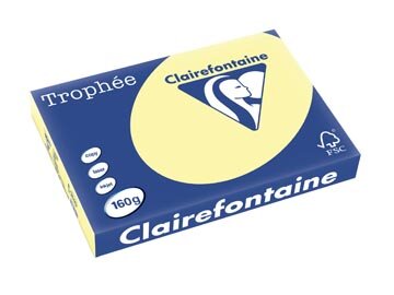 Clairefontaine Troph&eacute;e Pastel, gekleurd papier, A3, 160 g, 250 vel, kanariegeel