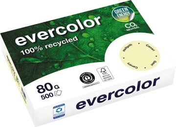 Clairefontaine Evercolor, gekleurd gerecycleerd papier, A4, 80 g, 500 vel, geel