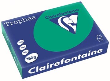 Clairefontaine Troph&eacute;e Intens, gekleurd papier, A4, 160 g, 250 vel, dennengroen
