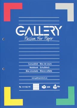 Gallery cursusblok, ft A4, 80 g/m&sup2;, 2-gaatsperforatie, geruit 5 mm, 100 vel