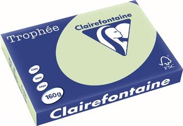 Clairefontaine Troph&eacute;e Pastel, gekleurd papier, A3, 160 g, 250 vel, golfgroen