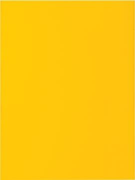 Exacompta dossiermap Rock&#039;s 80, ft 22 x 31 cm, pak van 100, geel