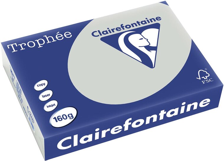 Clairefontaine Troph&eacute;e Pastel, gekleurd papier, A4, 160 g, 250 vel, lichtgrijs