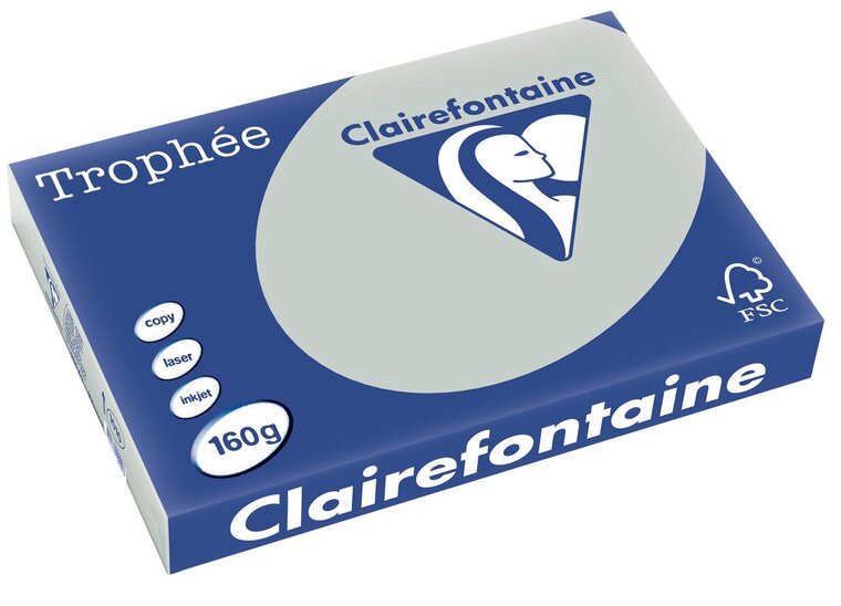 Clairefontaine Troph&eacute;e Pastel, gekleurd papier, A3, 160 g, 250 vel, lichtgrijs