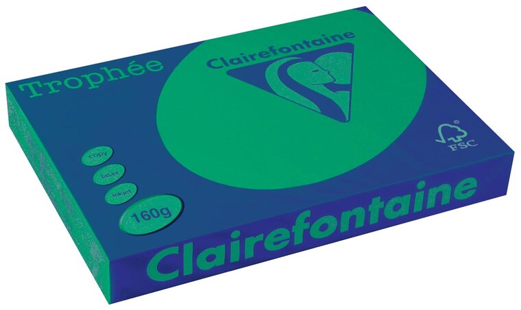 Clairefontaine Troph&eacute;e Intens, gekleurd papier, A3, 160 g, 250 vel, dennengroen