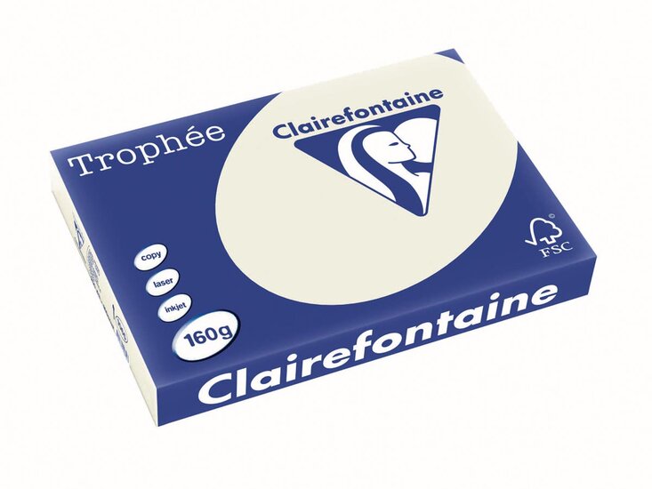 Clairefontaine Troph&eacute;e Pastel, gekleurd papier, A3, 160 g, 250 vel, parelgrijs