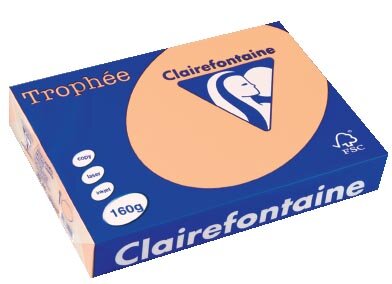 Clairefontaine Troph&eacute;e Pastel, gekleurd papier, A4, 160 g, 250 vel, zalm