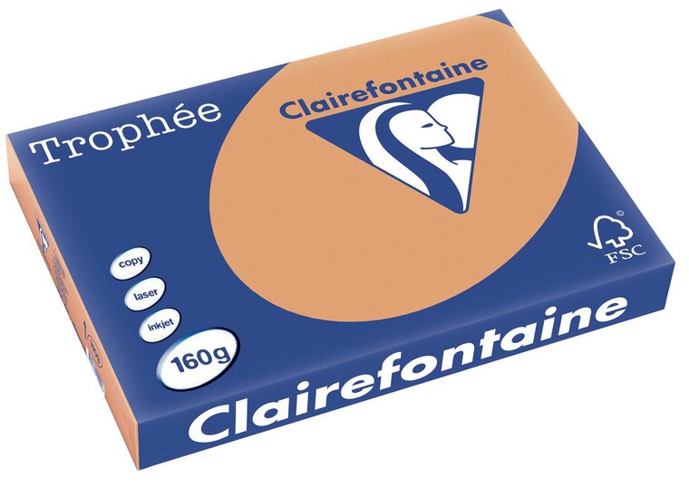 Clairefontaine Troph&eacute;e Pastel, gekleurd papier, A3, 160 g, 250 vel, mokkabruin