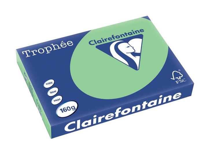 Clairefontaine Troph&eacute;e Pastel, gekleurd papier, A3, 160 g, 250 vel, natuurgroen