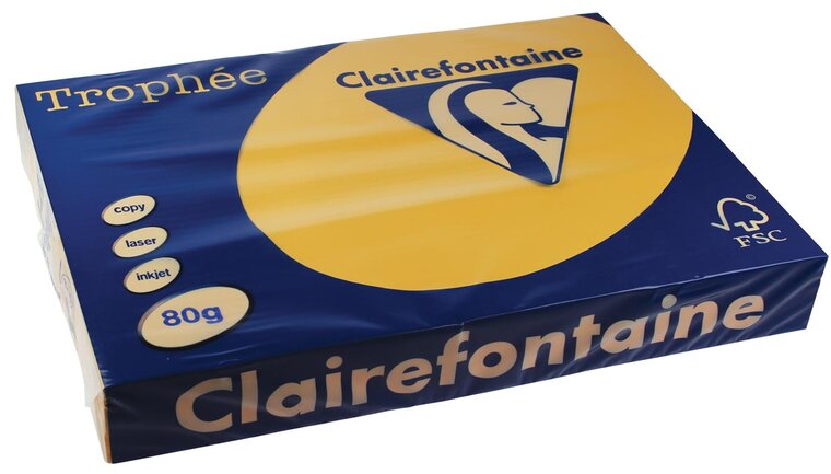 Clairefontaine Troph&eacute;e Pastel, gekleurd papier, A3, 80 g, 500 vel, goudgeel