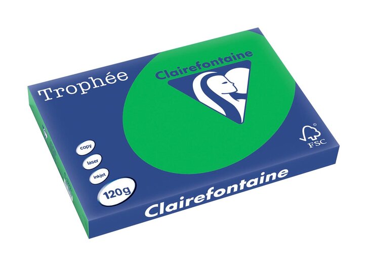 Clairefontaine Troph&eacute;e Intens, gekleurd papier, A3, 120 g, 250 vel, bijartgroen