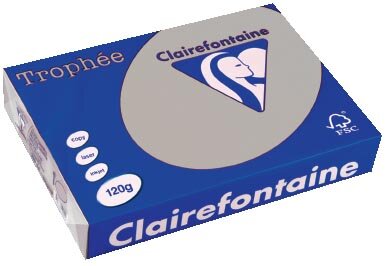 Clairefontaine Troph&eacute;e Pastel, gekleurd papier, A4, 120 g, 250 vel, lichtgrijs