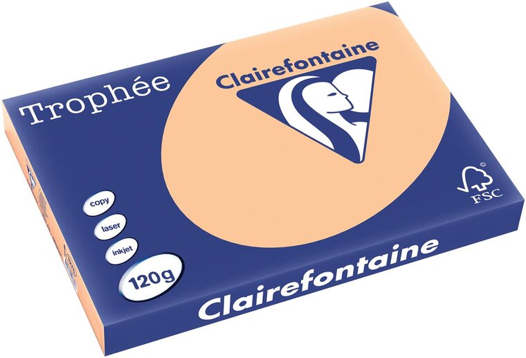Clairefontaine Troph&eacute;e Pastel, gekleurd papier, A3, 120 g, 250 vel, abrikoos