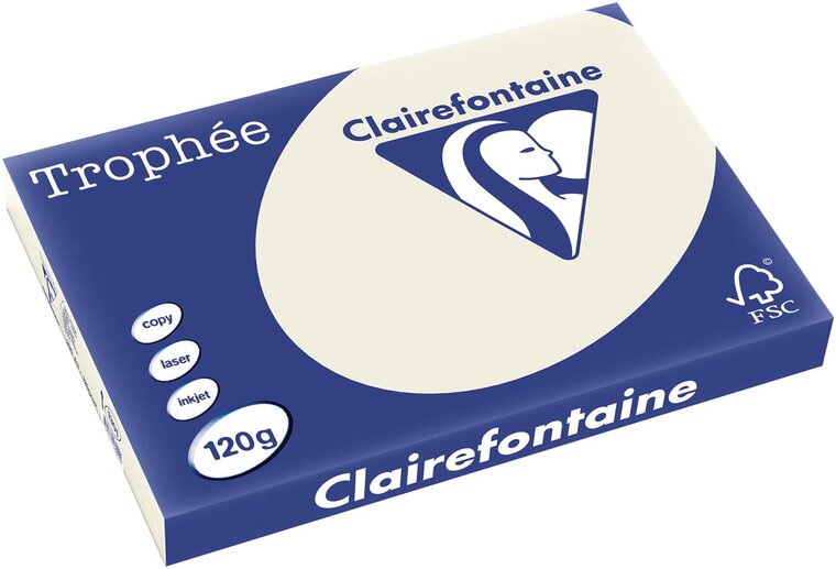Clairefontaine Troph&eacute;e Pastel, gekleurd papier, A3, 120 g, 250 vel, parelgrijs