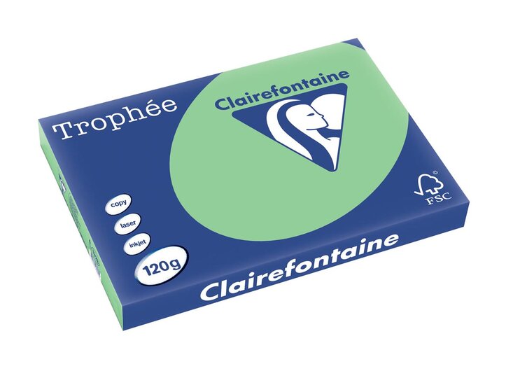 Clairefontaine Troph&eacute;e Pastel, gekleurd papier, A3, 120 g, 250 vel, natuurgroen