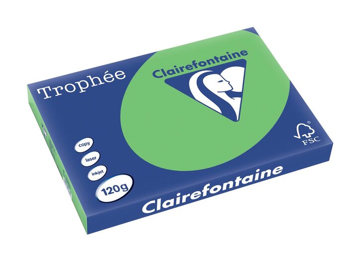 Clairefontaine Troph&eacute;e Intens, gekleurd papier, A3, 120 g, 250 vel, grasgroen