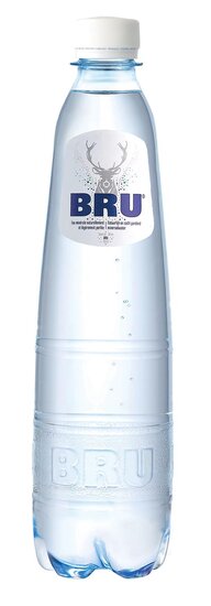 Bru lichtsprankelend water, fles van 50 cl, pak van 24 stuks