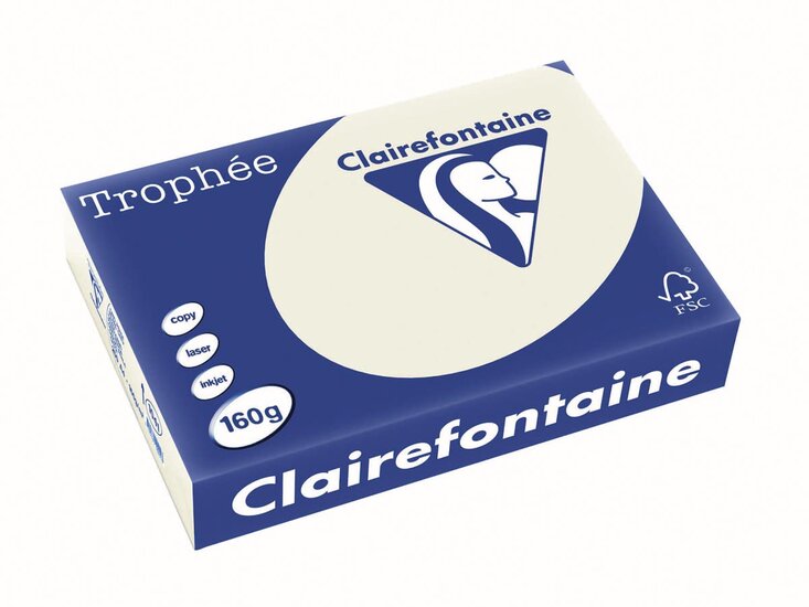 Clairefontaine Troph&eacute;e Pastel, gekleurd papier, A4, 160 g, 250 vel, parelgrijs