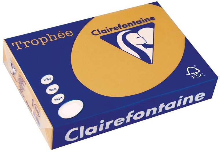 Clairefontaine Troph&eacute;e Pastel, gekleurd papier, A4, 160 g, 250 vel, mokkabruin