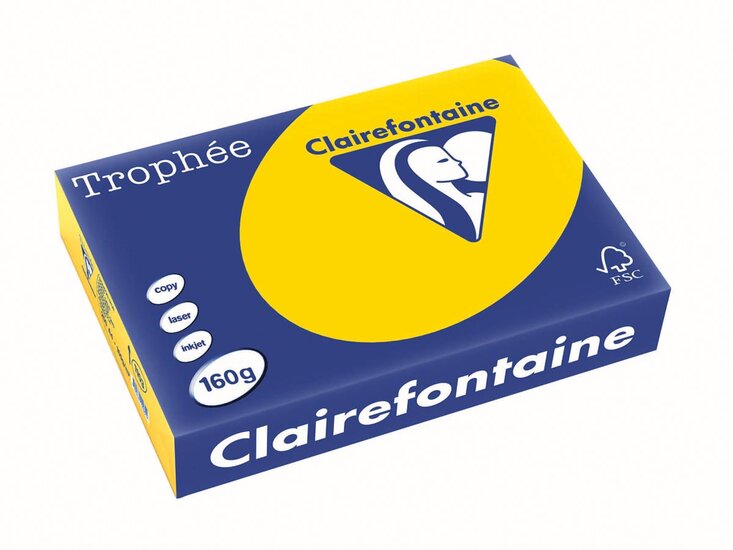 Clairefontaine Troph&eacute;e Pastel, gekleurd papier, A4, 160 g, 250 vel, goudgeel