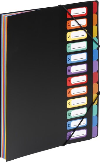 Viquel Rainbow Class sorteermap, ft A4, met 12 vakken