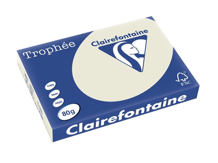 Clairefontaine Troph&eacute;e Pastel, gekleurd papier, A3, 80 g, 500 vel, parelgrijs